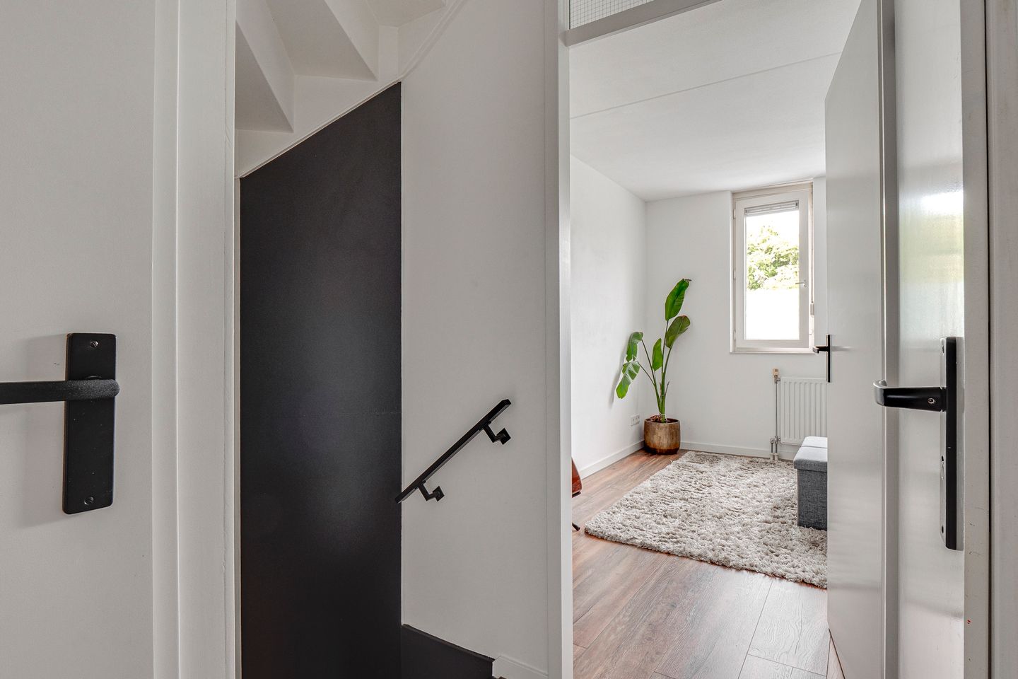 Foto 35 van Kaardebol 8