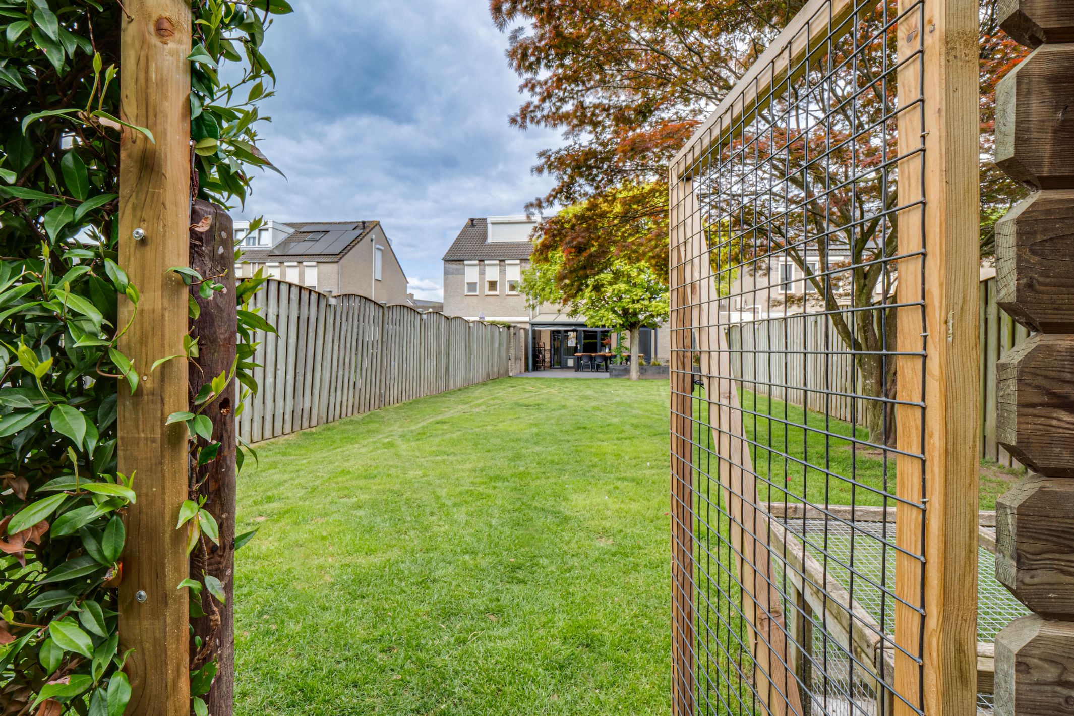 Foto 45 van Kaardebol 8