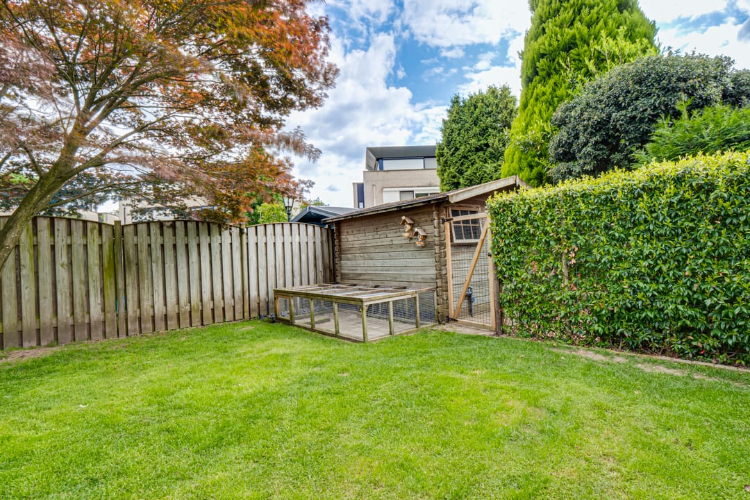 Foto 46 van Kaardebol 8