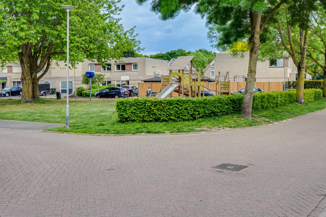 Foto 52 van Kaardebol 8