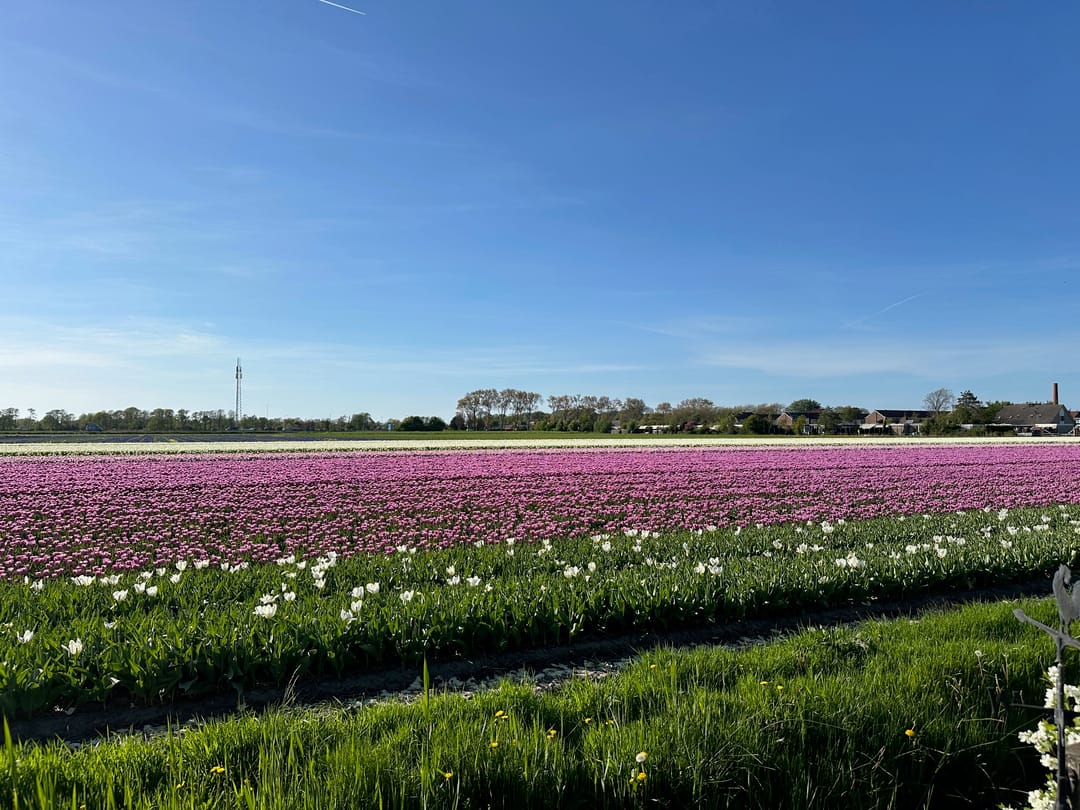 Foto 2 van Ruigeweg 61-H7