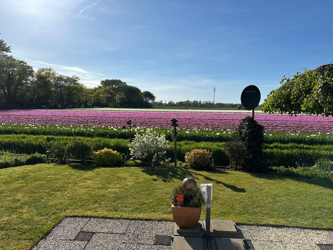 Foto 17 van Ruigeweg 61-H7