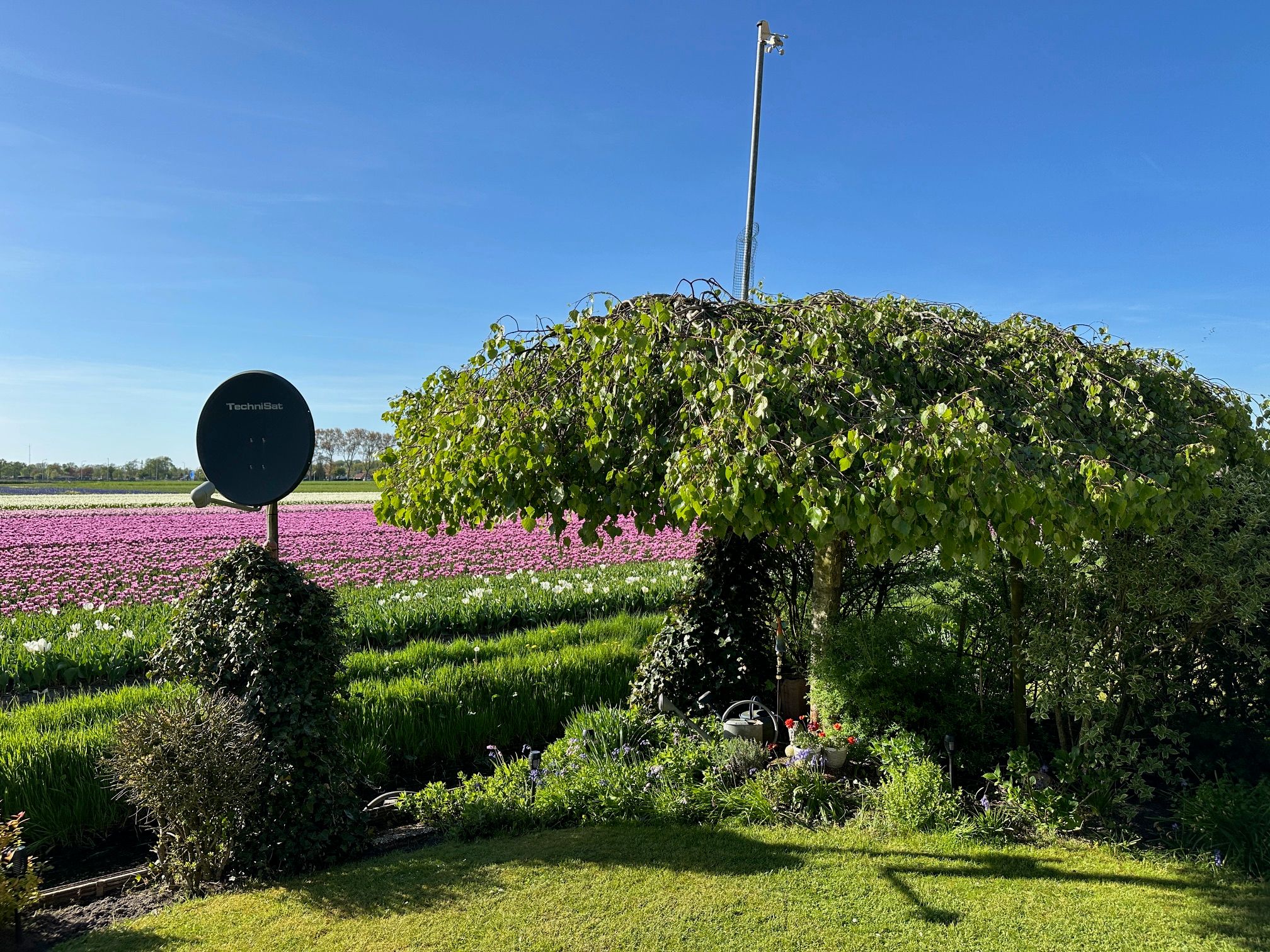 Foto 18 van Ruigeweg 61-H7