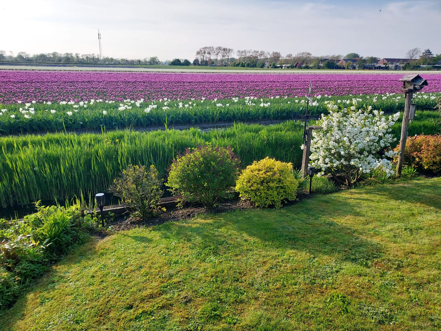 Foto 20 van Ruigeweg 61-H7