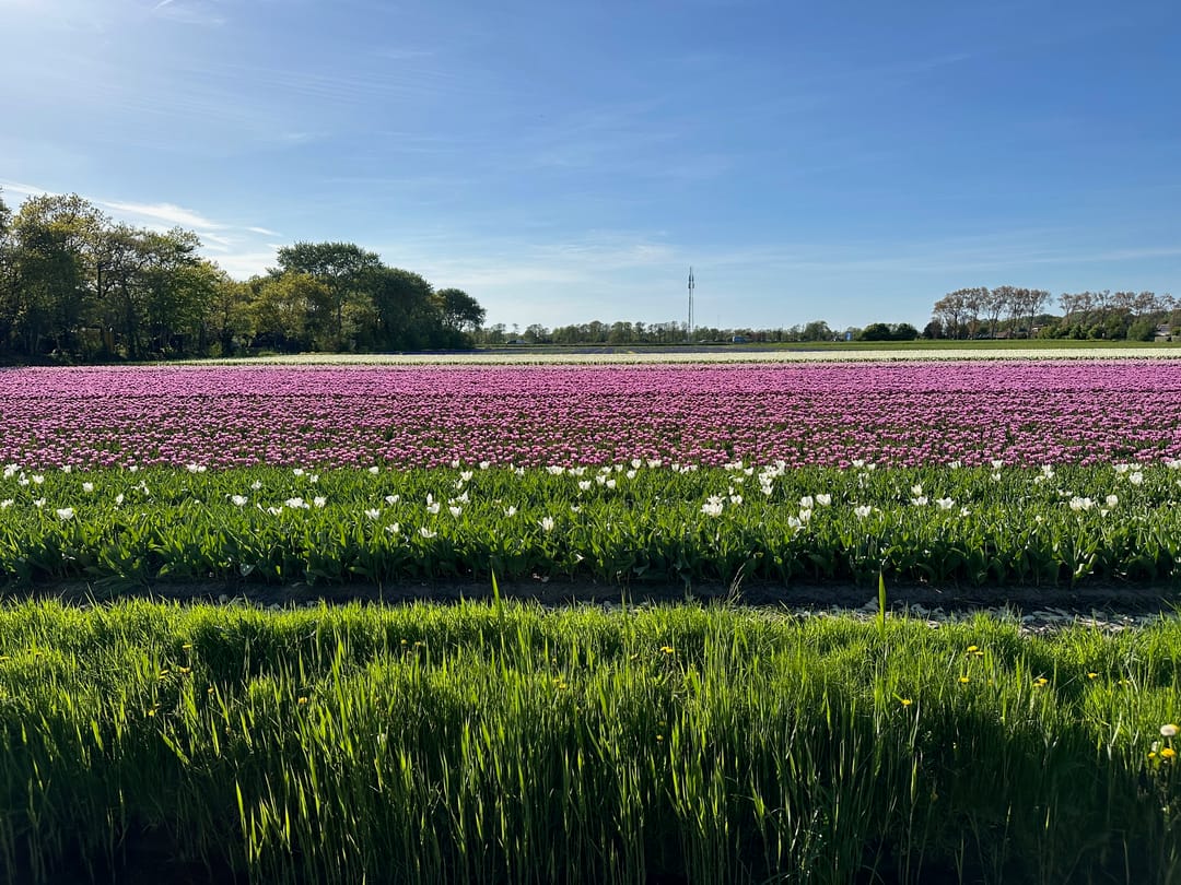 Foto 22 van Ruigeweg 61-H7