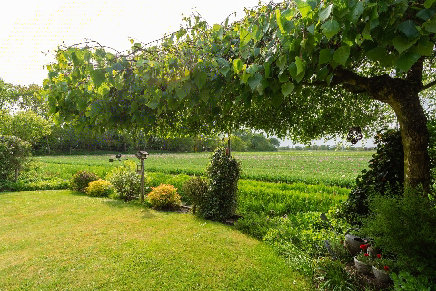 Foto 24 van Ruigeweg 61-H7