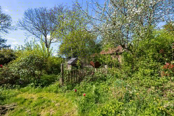 Foto 32 van de Groeve 2