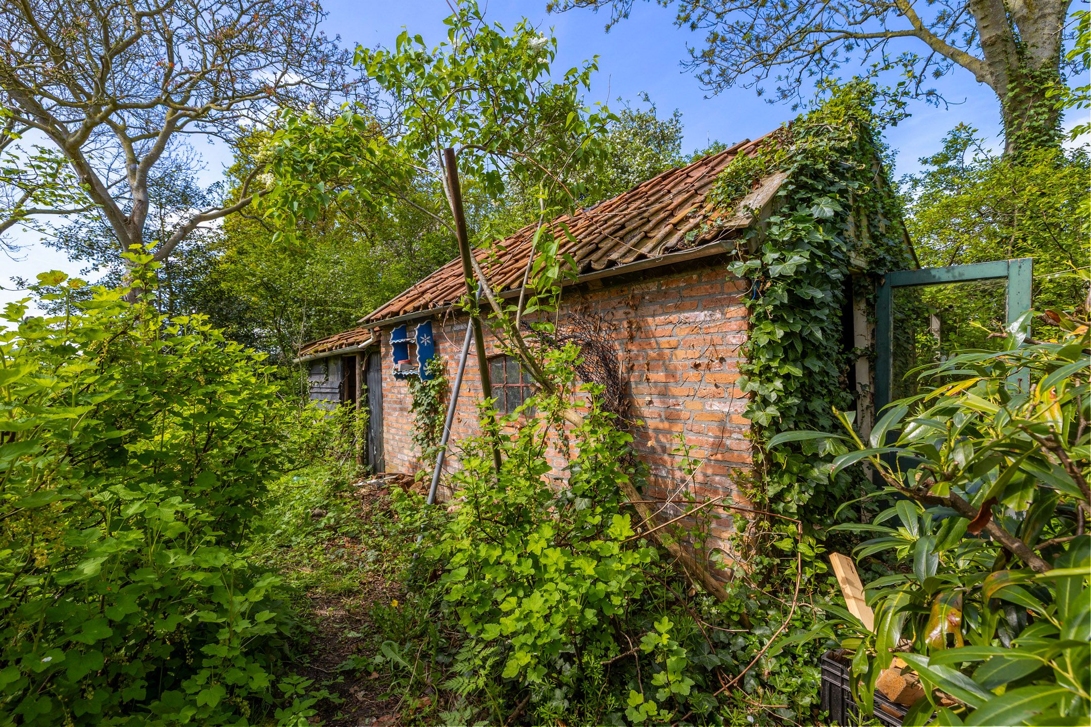 Photo 33 of de Groeve 2