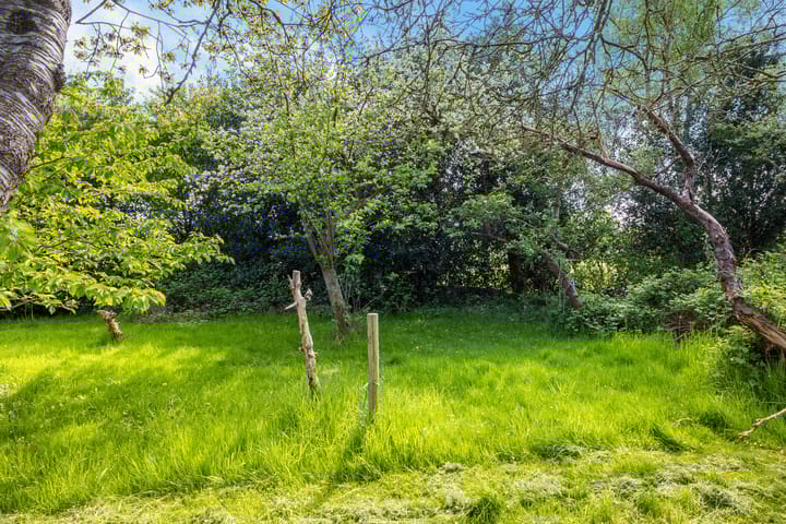 Foto 39 van de Groeve 2