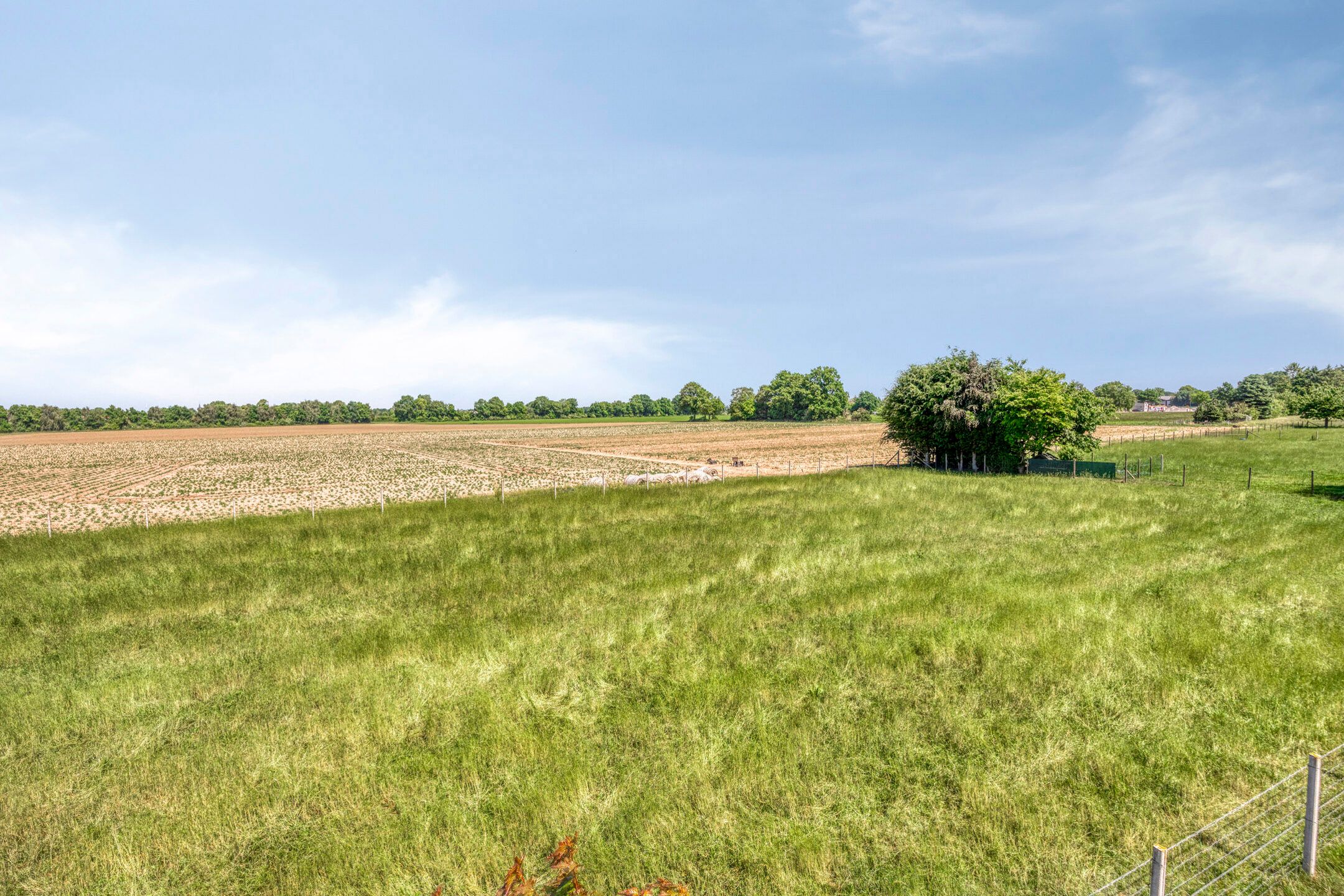 Foto 36 van Bosserstraat 13