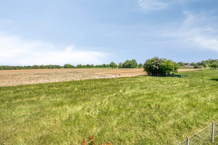 Foto 36 van Bosserstraat 13