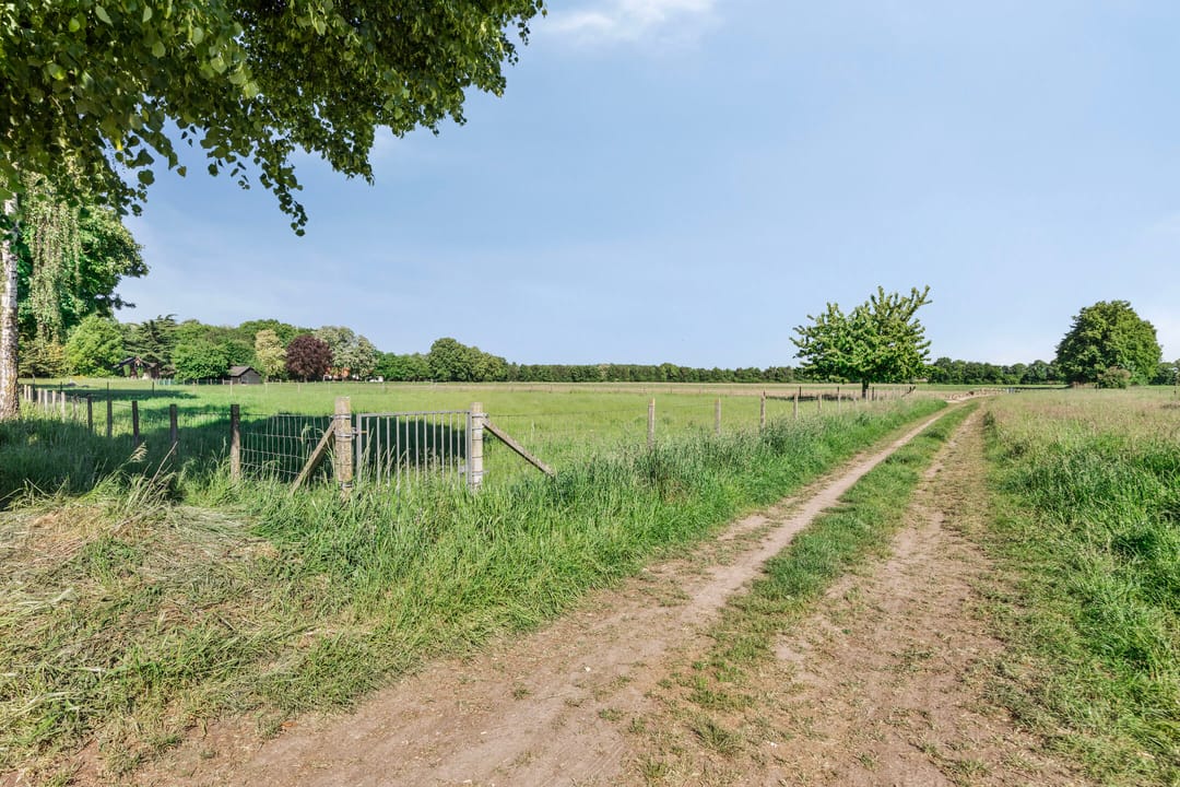 Foto 37 van Bosserstraat 13