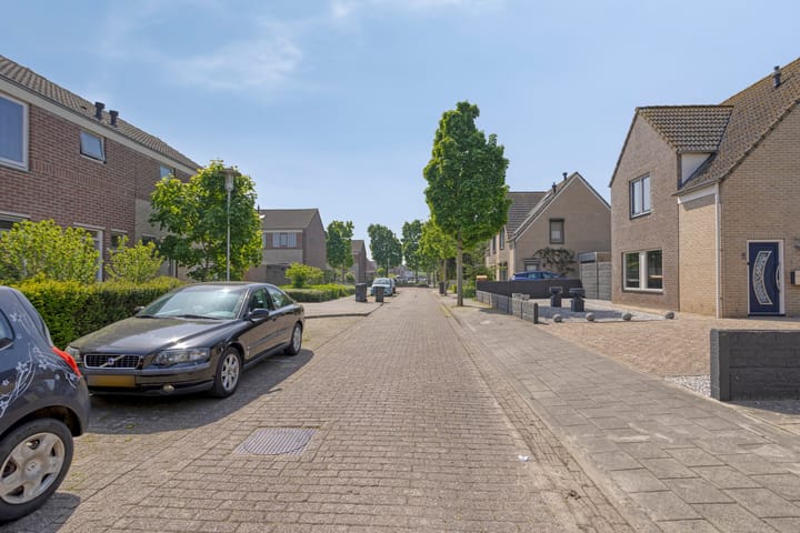 Foto 33 van Steeland 20