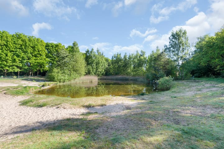 Foto 28 van Zwinglilaan 26