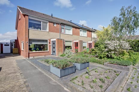 undefined main image