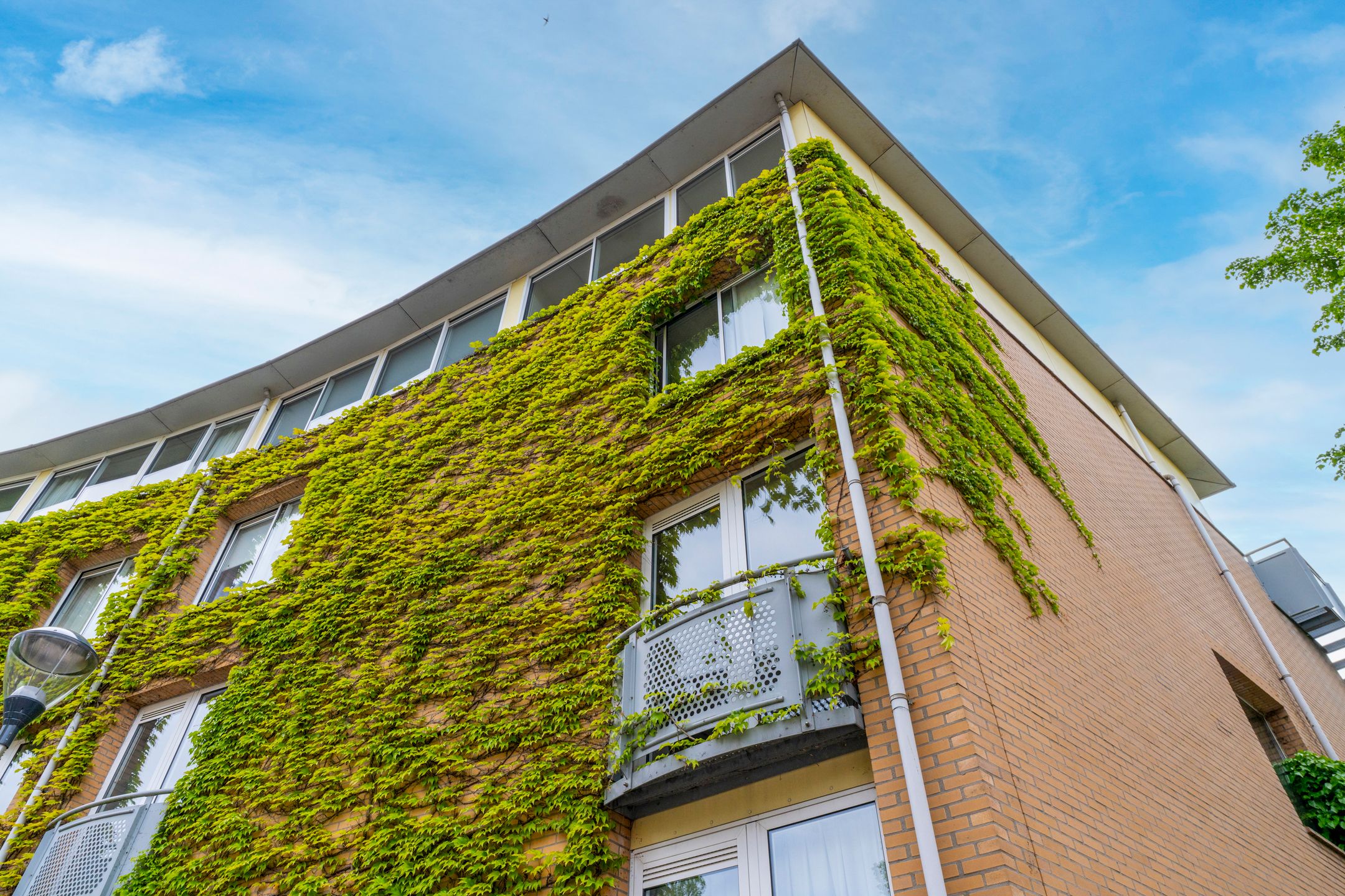 Foto 36 van Arthur van Schendelstraat 186