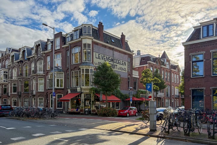 Foto 44 van Arthur van Schendelstraat 186