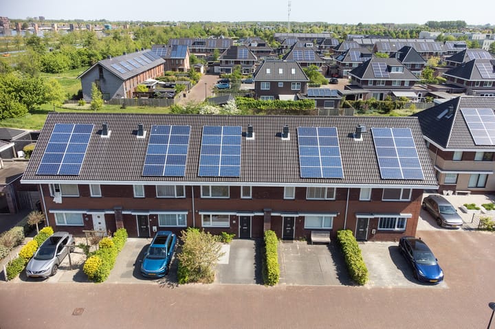 Foto 2 van Jasmijn 8