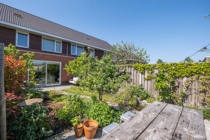 Foto 24 van Jasmijn 8