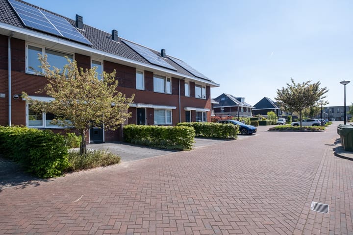 Foto 30 van Jasmijn 8