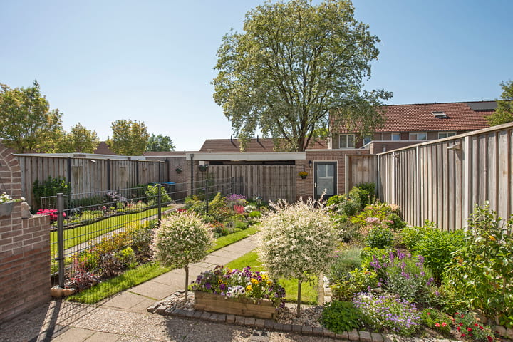 Foto 2 van Ankrot 63