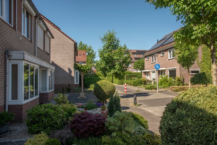 Foto 4 van Ankrot 63