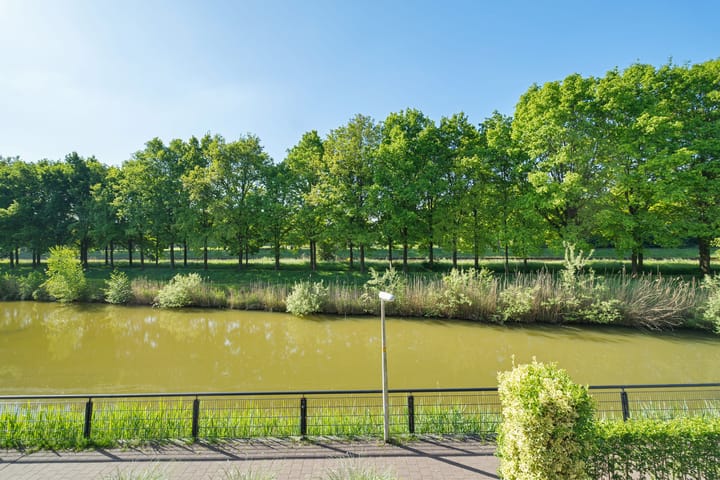 Foto 6 van de Dinkel 6