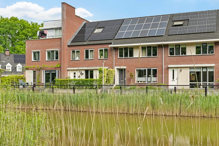 Foto 7 van de Dinkel 6