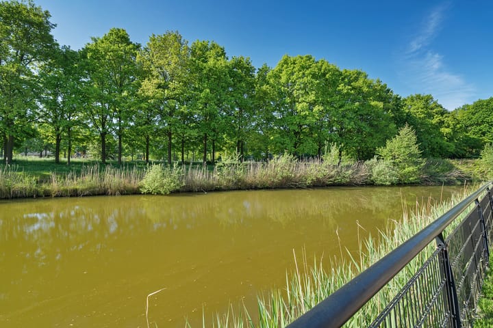 Foto 15 van de Dinkel 6