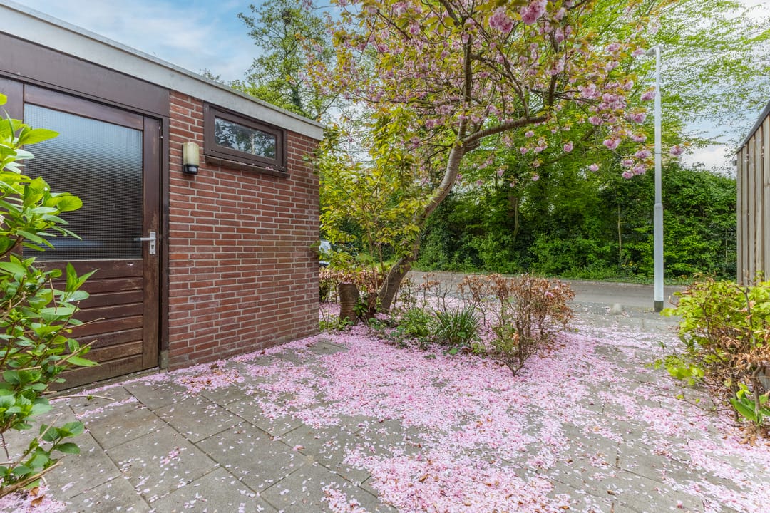 Foto 7 van Bristolroodstraat 136