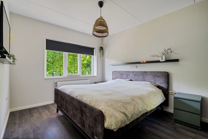 Foto 36 van de Dinkel 6