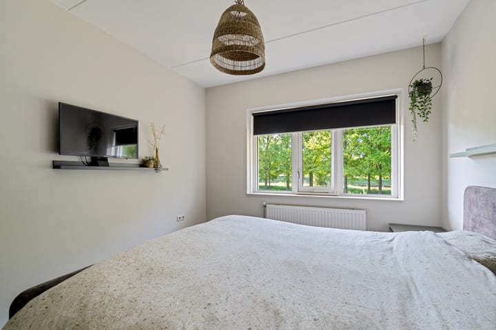 Foto 38 van de Dinkel 6