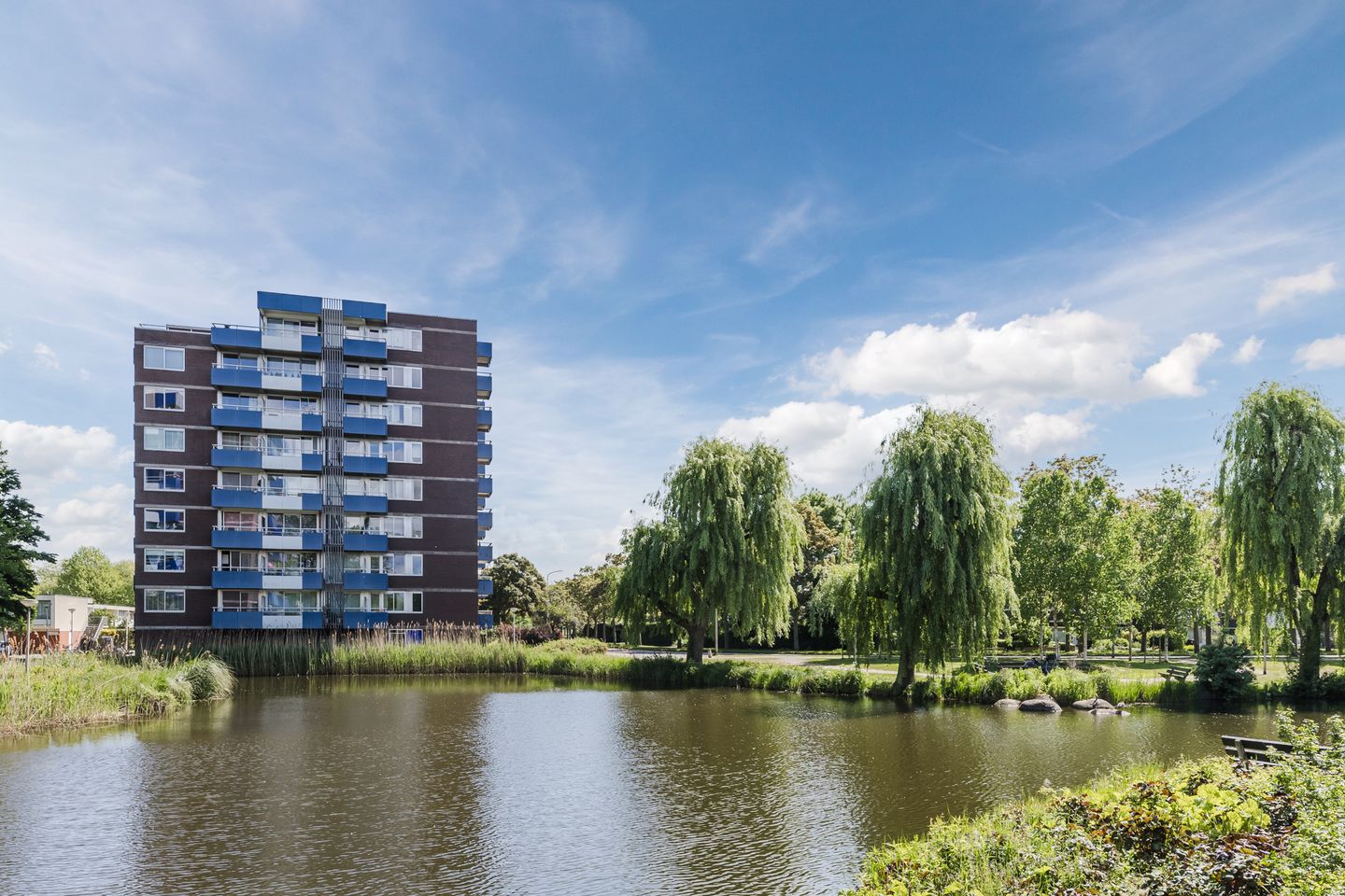 Boterbloem 43 main image