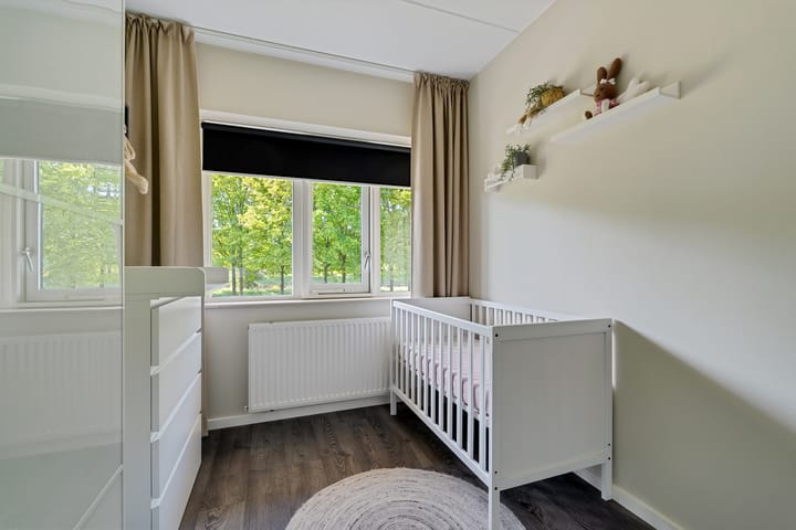 Foto 40 van de Dinkel 6