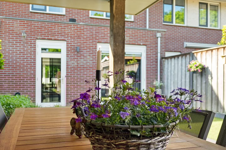 Foto 47 van de Dinkel 6