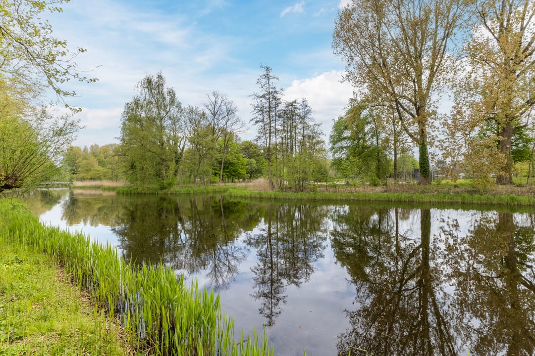 Foto 41 van Bristolroodstraat 136