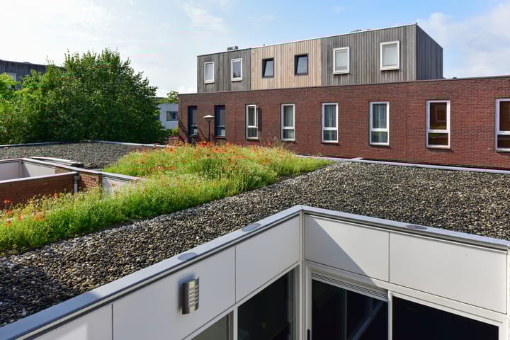 Foto 26 van Morrahof 5