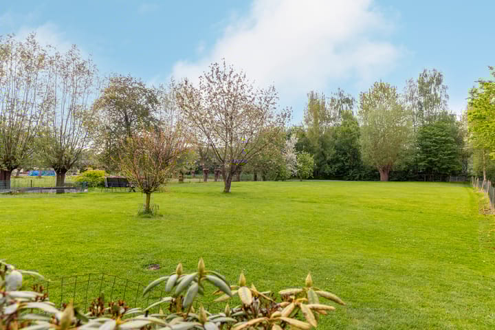 Foto 4 van Gelkenes 55