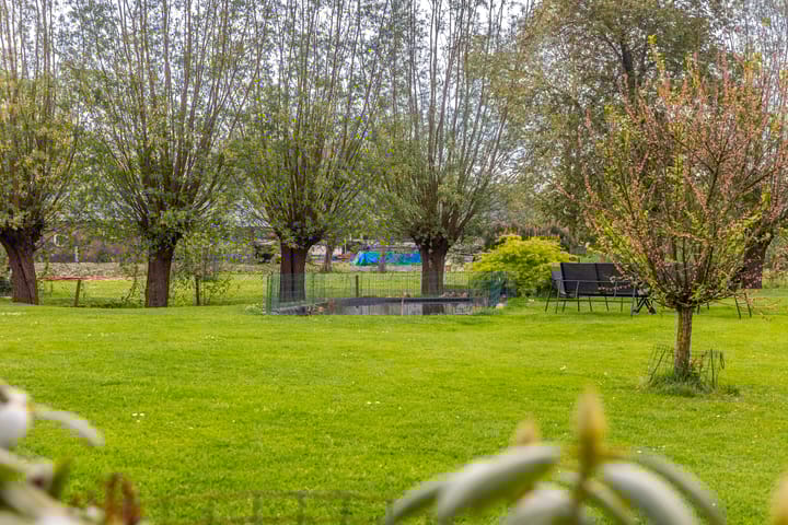 Photo 37 of Gelkenes 55