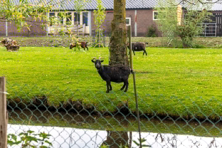 Photo 40 of Gelkenes 55