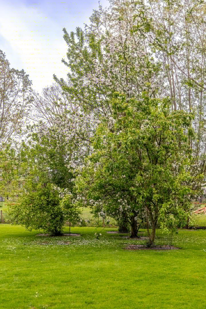 Photo 42 of Gelkenes 55