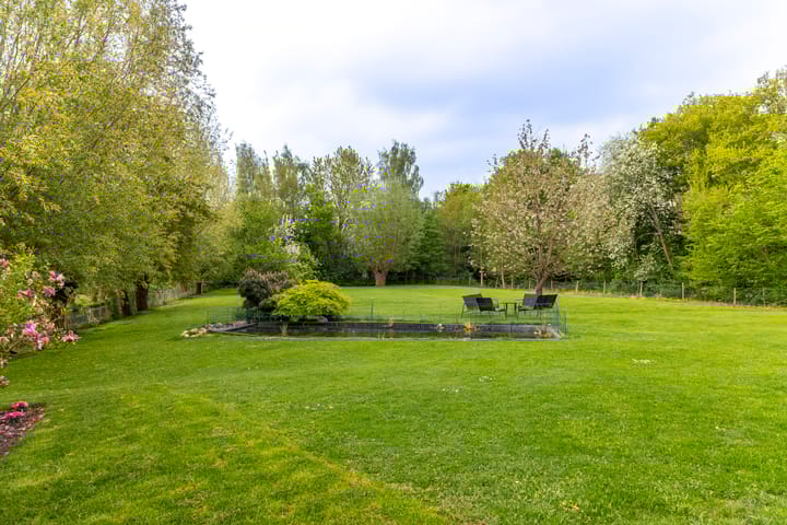 Foto 3 van Gelkenes 55