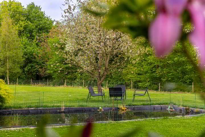 Photo 44 of Gelkenes 55