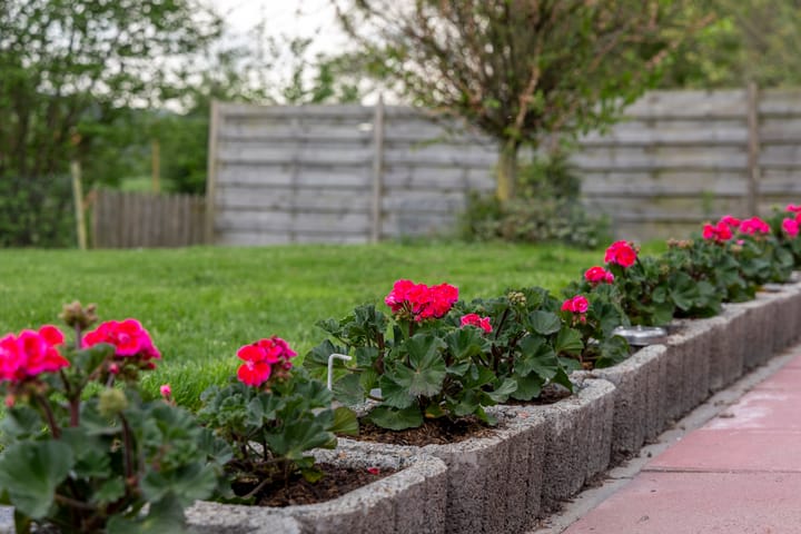 Photo 45 of Gelkenes 55