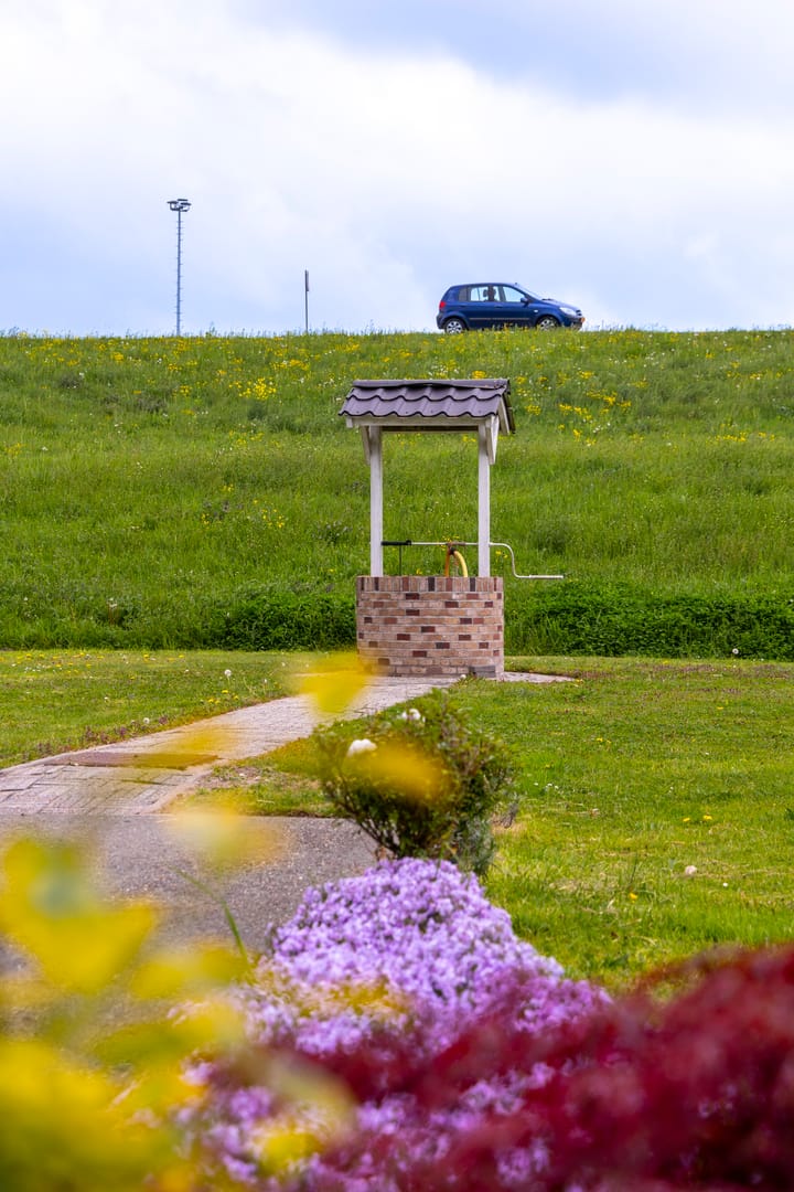 Photo 46 of Gelkenes 55