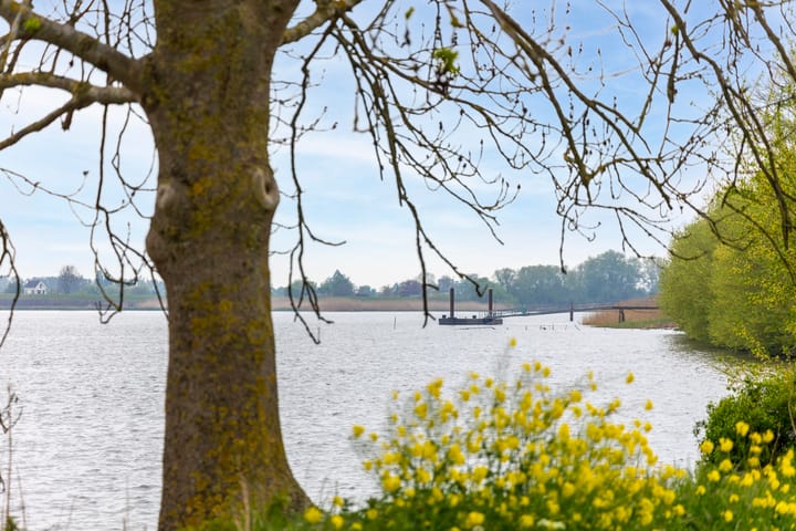 Photo 50 of Gelkenes 55