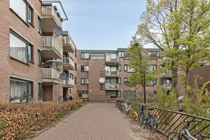 Foto 1 van Obiplein 47