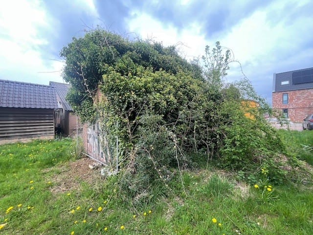 Foto 5 van Julianaweg 15