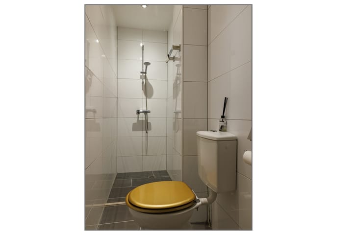 Foto 16 van van Slichtenhorststraat 48