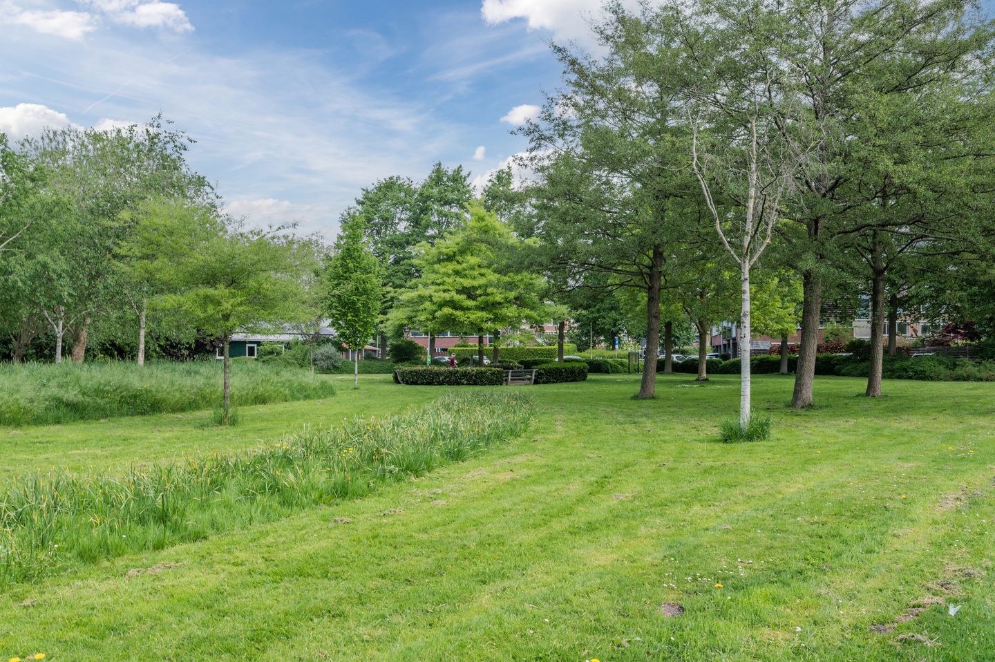 Foto 40 van Dronenweg 29